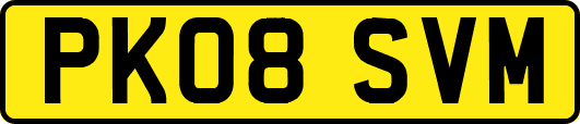 PK08SVM
