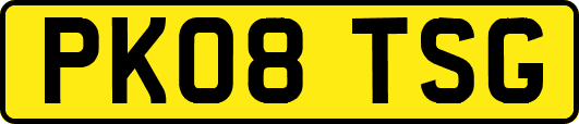 PK08TSG