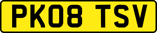 PK08TSV