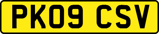 PK09CSV