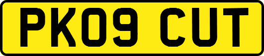 PK09CUT