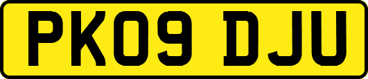 PK09DJU
