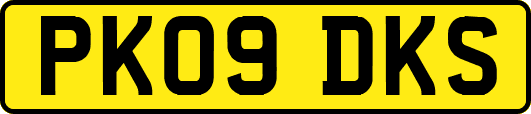 PK09DKS