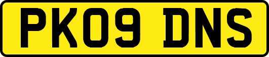 PK09DNS