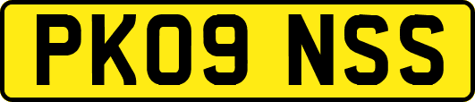 PK09NSS