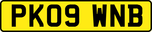 PK09WNB