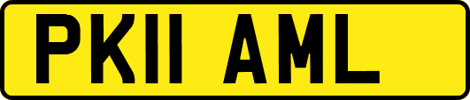 PK11AML