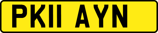 PK11AYN