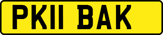 PK11BAK