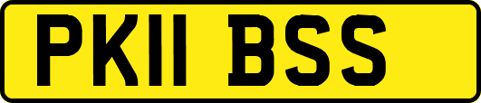 PK11BSS