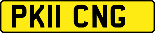 PK11CNG