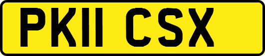 PK11CSX