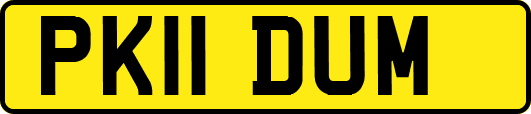 PK11DUM