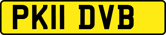 PK11DVB