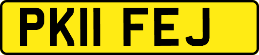 PK11FEJ