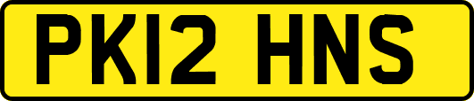 PK12HNS