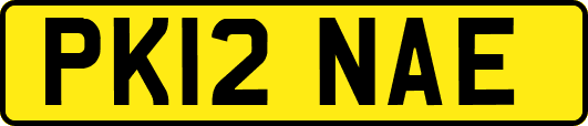 PK12NAE