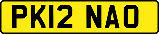 PK12NAO