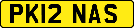 PK12NAS