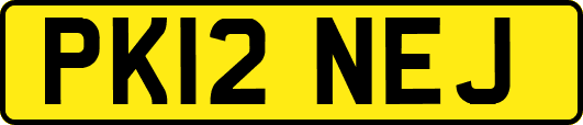 PK12NEJ