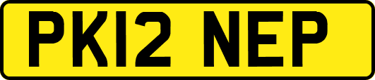 PK12NEP