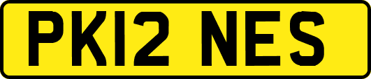 PK12NES
