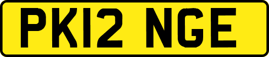 PK12NGE