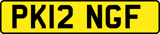 PK12NGF