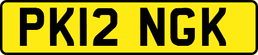 PK12NGK