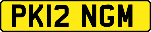 PK12NGM
