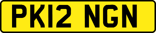 PK12NGN