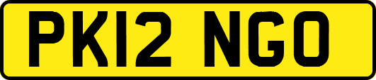 PK12NGO