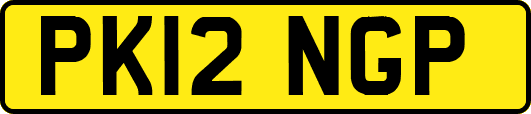 PK12NGP