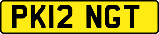 PK12NGT