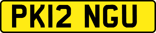 PK12NGU