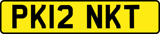 PK12NKT
