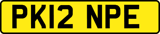 PK12NPE
