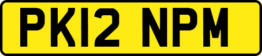 PK12NPM