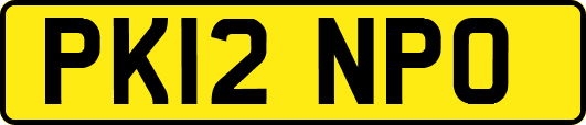 PK12NPO