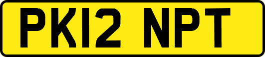 PK12NPT