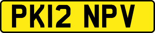 PK12NPV