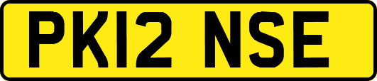 PK12NSE