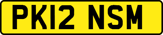 PK12NSM