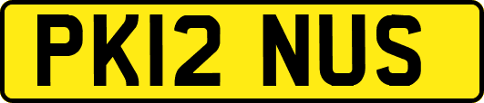 PK12NUS