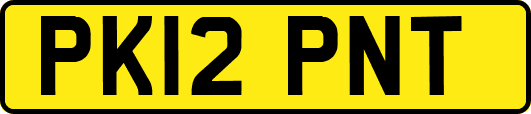 PK12PNT