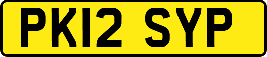 PK12SYP