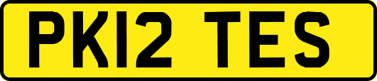 PK12TES
