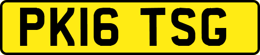 PK16TSG