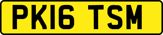 PK16TSM