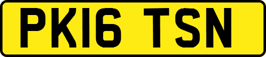 PK16TSN